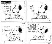 snoopy sooth woodstock.jpg