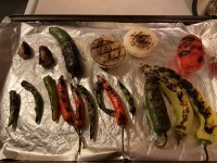 IMG_0893.jpeg