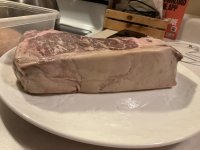 IMG_0960.jpeg