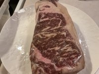 IMG_0959.jpeg