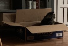 IMG_5242.jpeg