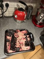 IMG_6496.jpeg