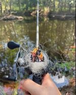 fishing line bird nest.jpg