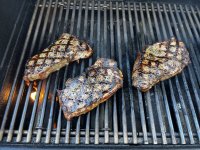 3 NY Strips on the Summit.JPG