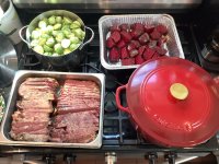 IMG_0955.jpeg