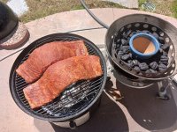 WSM-Loaded.jpg