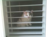 IMG_0116.jpeg