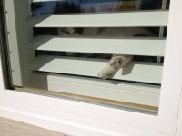 IMG_0158.jpeg