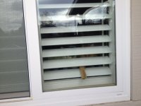 IMG_0276.jpeg