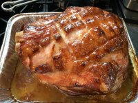 IMG_0973.jpeg