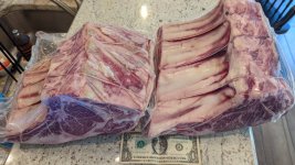 IMG_5651.jpeg