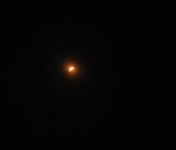 20240408_134318.jpg