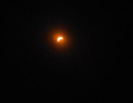 20240408_134341.jpg