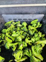 IMG_5519.jpeg