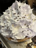 IMG_1238.jpeg