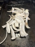 IMG_1712.jpeg