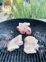 IMG_6321.jpeg IMG_6321.jpeg