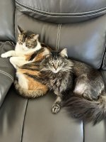 IMG_6184.jpeg