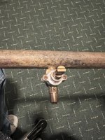 IMG_8955.jpeg