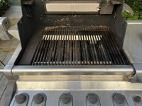 IMG_7974.jpeg IMG_7974.jpeg