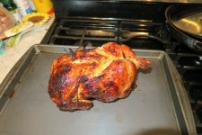 IMG_6911.JPG IMG_6911.JPG