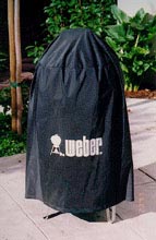 Weber Bullet Under Cover